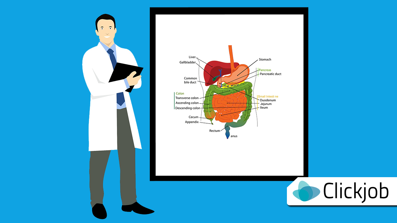 Telemedizin und neue Arbeitsmodelle in der Schweiz: starkes Wachstum in den letzten 5 Jahren